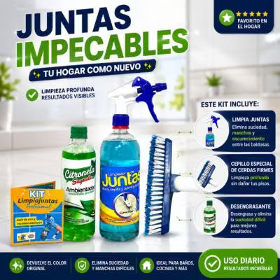 Kit Limpia Juntas Pinton