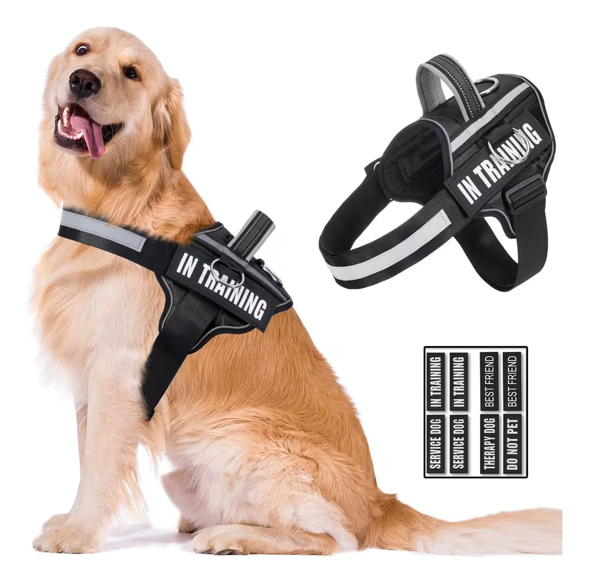 KIT CUIDADO MASCOTA ARNÉS + GUANTE QUITAPELO